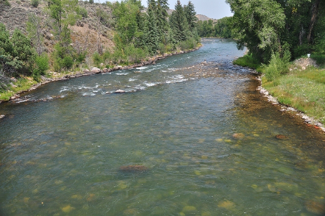 Spring Creek